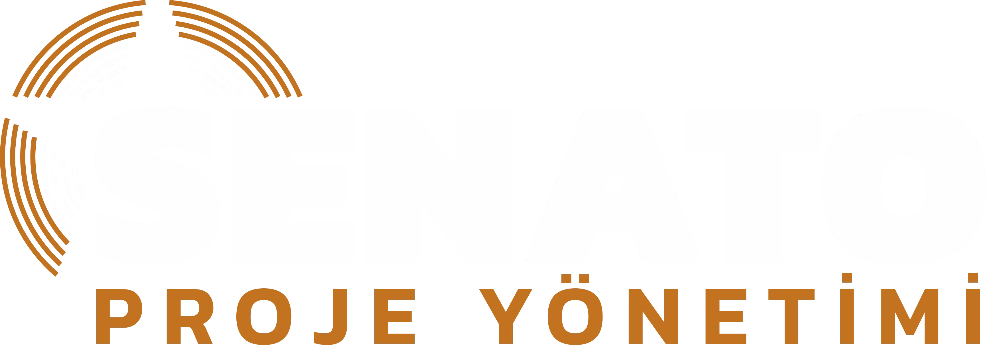 Senato Proje Yönetimi